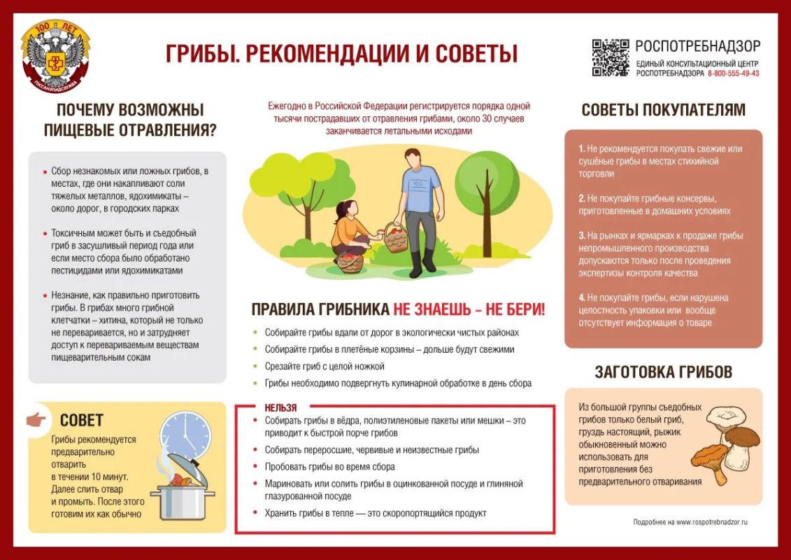 О мерах профилактики отравлений грибами