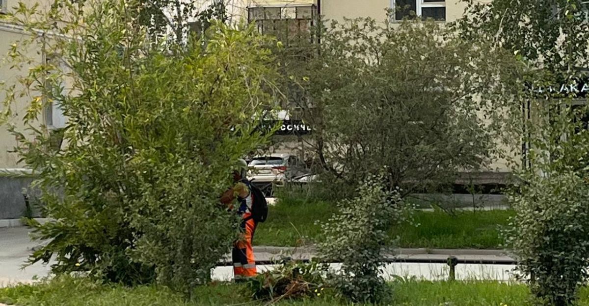 Проспект Ленина приводят в порядок со всех сторон Проспект Ленина приводят в порядок со всех сторон