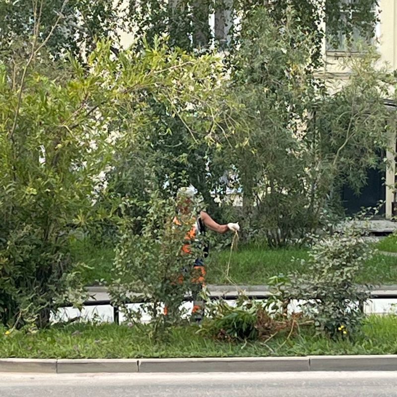 Проспект Ленина приводят в порядок со всех сторон Проспект Ленина приводят в порядок со всех сторон