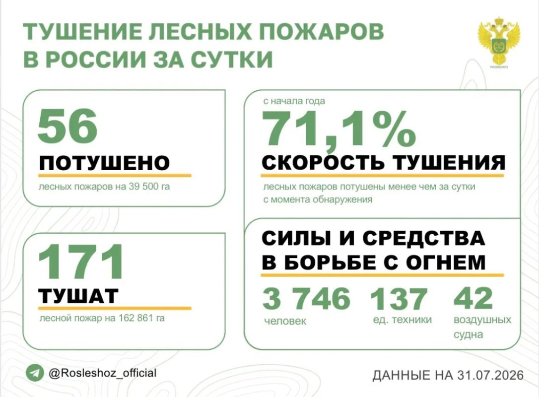 За прошедшие сутки в 12 регионах России потушили 56 лесных пожаров