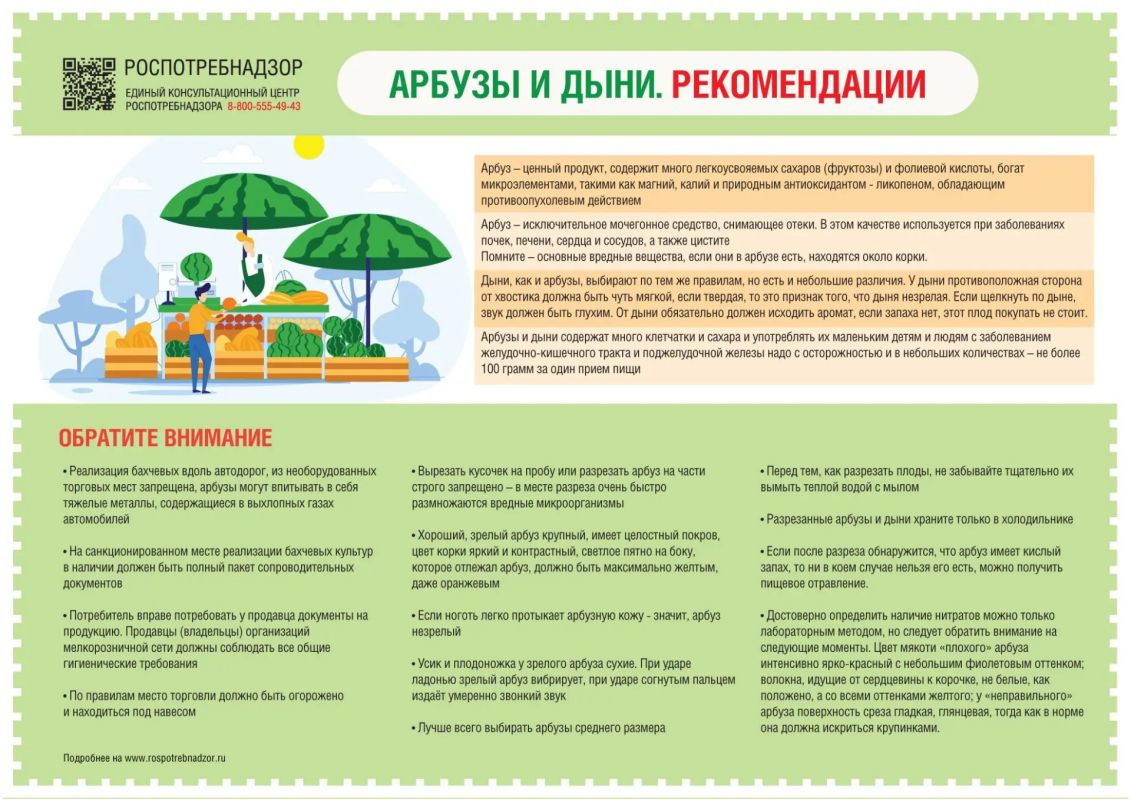 О сезоне реализации бахчевых культур