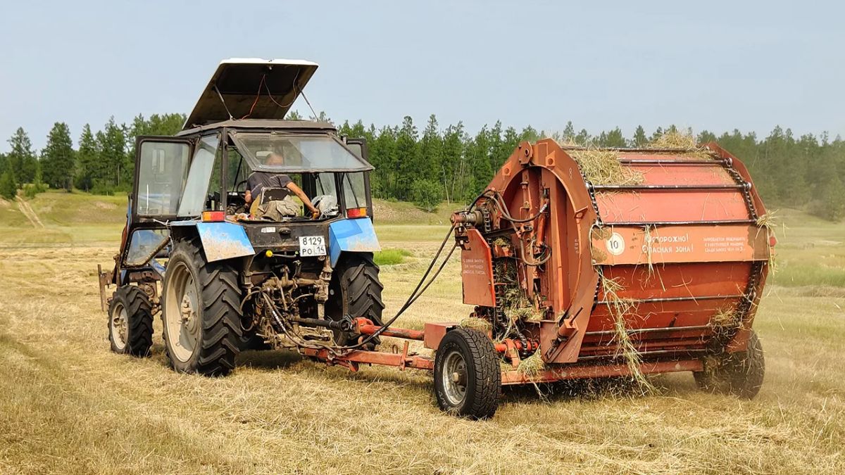 Морозовтар биэс алаастан 150 туонна оту ылар былааннаахтар Морозовтар биэс алаастан 150 туонна оту ылар былааннаахтар