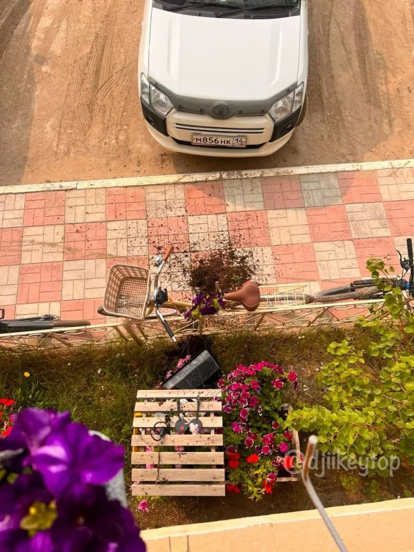 Во дворе на Крупской испортили клумбу с цветами Во дворе на Крупской испортили клумбу с цветами