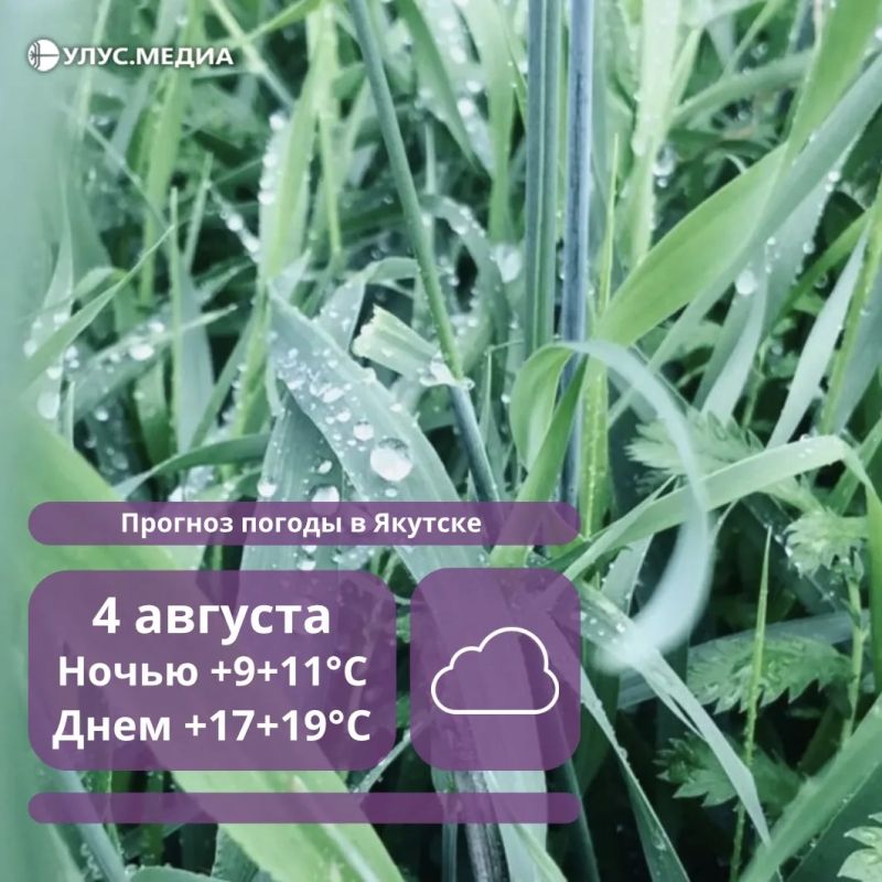 На смену жаре придут заморозки: в Якутии прогнозируют резкое похолодание и штормовой ветер