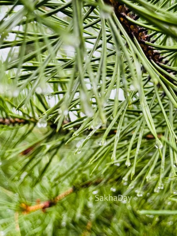 Зато природа радуется #отподписчика Зато природа радуется #отподписчика