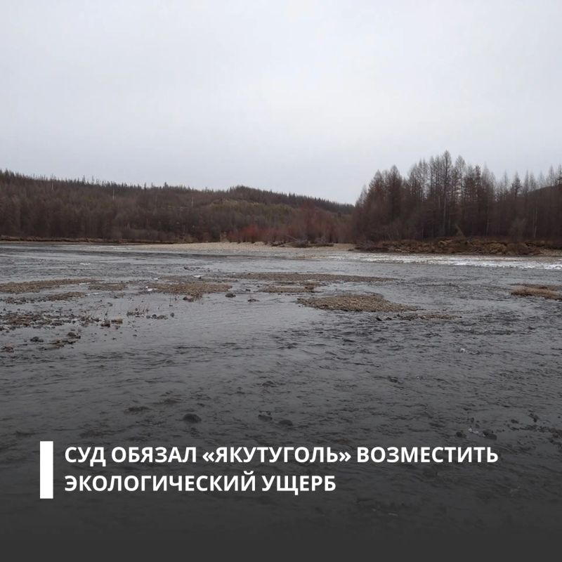 Суды двух инстанций поддержали требования Росприроднадзора о взыскании с АО ХК «Якутуголь» более 3 млн рублей за вред, причиненный реке Верхней Нерюнгре