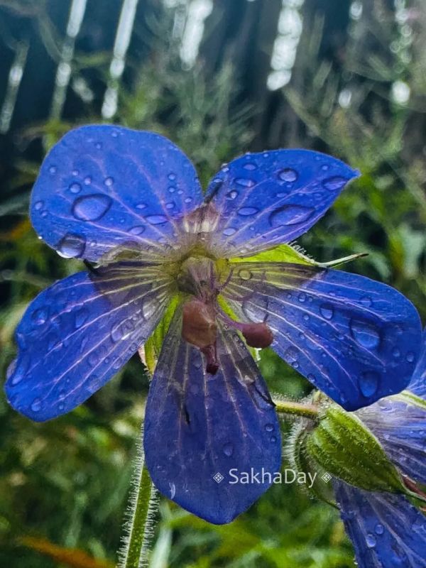 Зато природа радуется #отподписчика Зато природа радуется #отподписчика