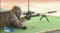 На четвёртый турнир по высокоточной стрельбе в дисциплине "Боевой снайпинг" памяти Героя Советского Союза Фёдора Матвеевича Охлопкова, который состоится в октябре 2026 года в Якутии, уже подали заявки четыре страны