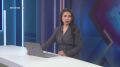 В национальном парке “Ленские столбы” этим летом устанавливают защитную систему “электропастух”