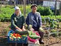 Дьоннорун-сэргэлэрин битэмииннээх аынан хааччыйаллар