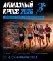 ВЫХОДИ НА СТАРТ! Алмазный кросс-2026 уже близко
