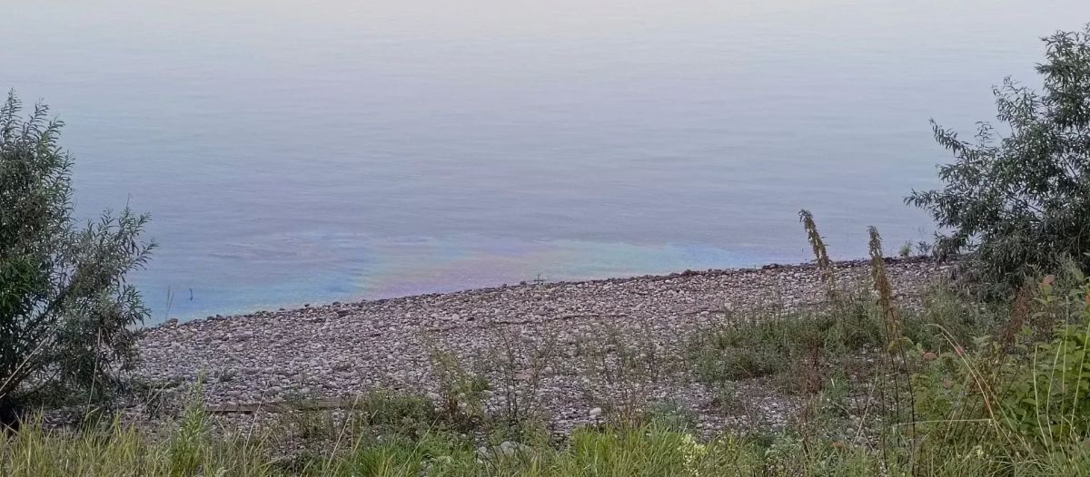 Жители Якутии с помощью чат-бота сообщили о загрязнении реки Лена Жители Якутии с помощью чат-бота сообщили о загрязнении реки Лена