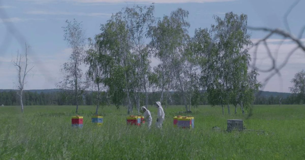Кстати говоря, сегодня на кинофестивале «Окно в Европу» в кинотеатре «Выборг Палас» покажут документальный фильм Дмитрия Давыдова «Крайний мед» Кстати говоря, сегодня на кинофестивале «Окно в Европу» в кинотеатре «Выборг Палас» покажут документальный фильм Дмитрия Давыдова «Крайний мед»