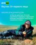 «После встречи с ними не остаешься прежним»: Мария Владимирцева — о стерхах, экспедициях и счастье