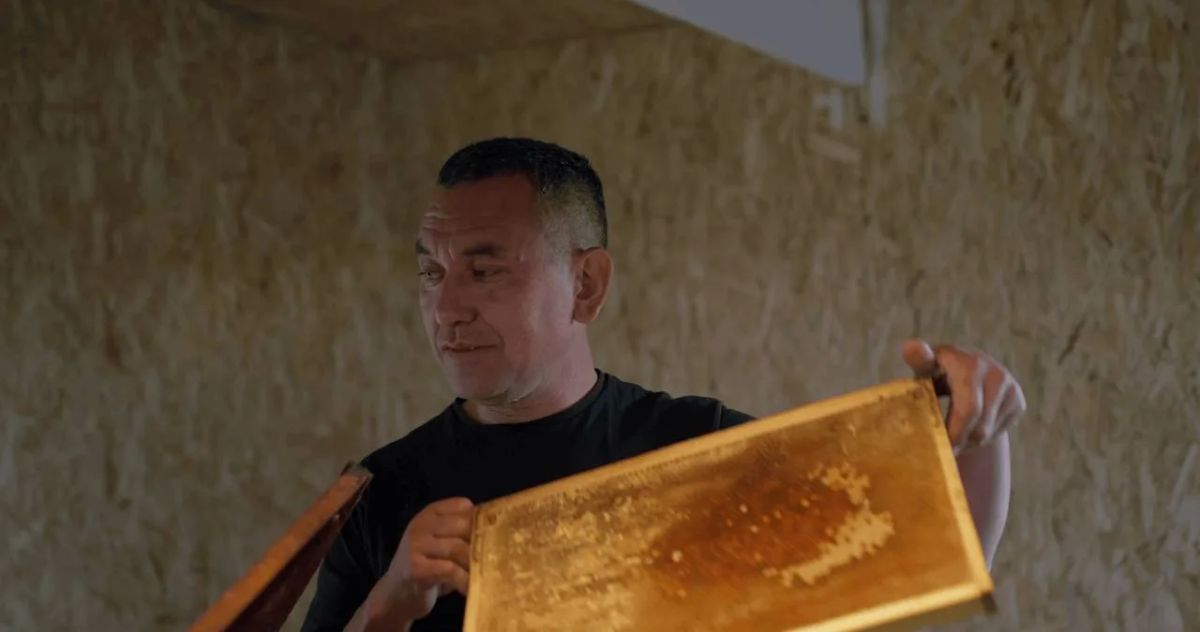Кстати говоря, сегодня на кинофестивале «Окно в Европу» в кинотеатре «Выборг Палас» покажут документальный фильм Дмитрия Давыдова «Крайний мед» Кстати говоря, сегодня на кинофестивале «Окно в Европу» в кинотеатре «Выборг Палас» покажут документальный фильм Дмитрия Давыдова «Крайний мед»