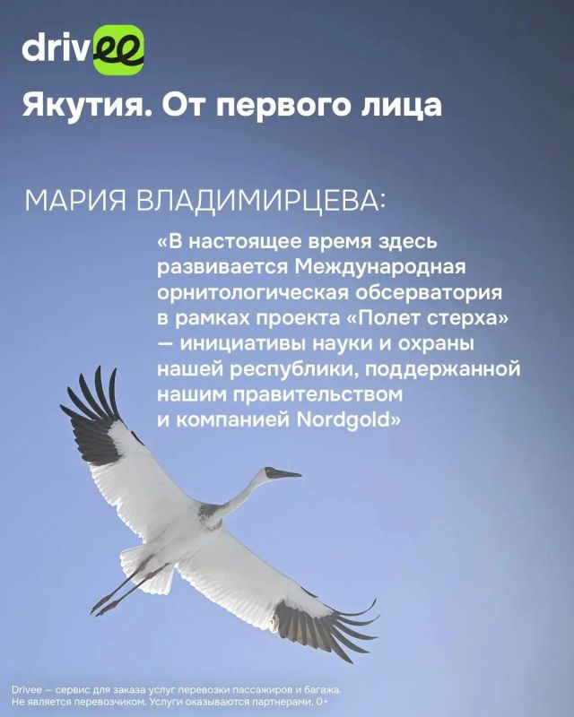 «После встречи с ними не остаешься прежним»: Мария Владимирцева — о стерхах, экспедициях и счастье «После встречи с ними не остаешься прежним»: Мария Владимирцева — о стерхах, экспедициях и счастье