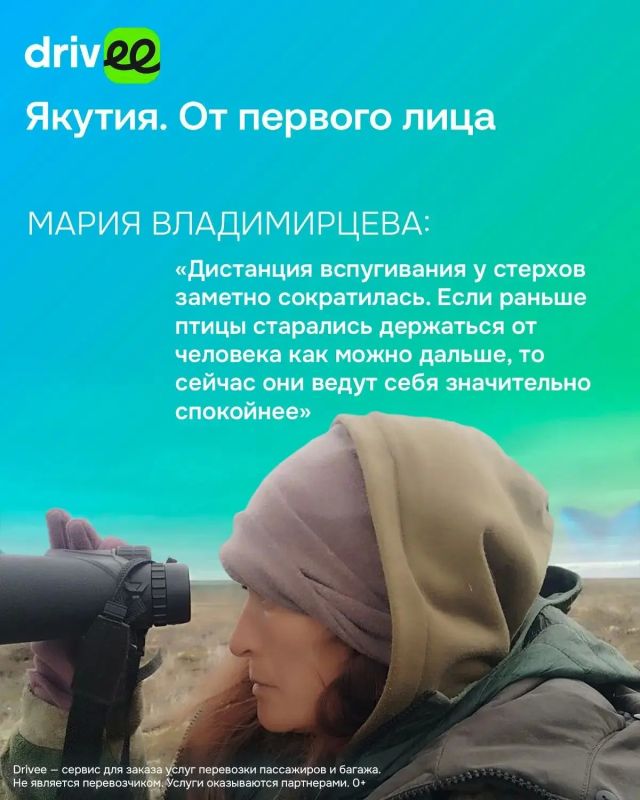 «После встречи с ними не остаешься прежним»: Мария Владимирцева — о стерхах, экспедициях и счастье «После встречи с ними не остаешься прежним»: Мария Владимирцева — о стерхах, экспедициях и счастье