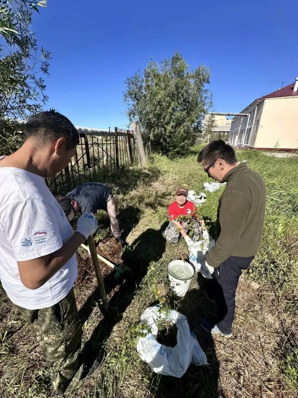 Сотрудники Минэкологии Якутии подарили школе-интернату аллею из 20 берез Сотрудники Минэкологии Якутии подарили школе-интернату аллею из 20 берез