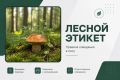 Для жителей Якутии поход в лес, или тайгу, — не просто увлечение, а часть привычного уклада жизни