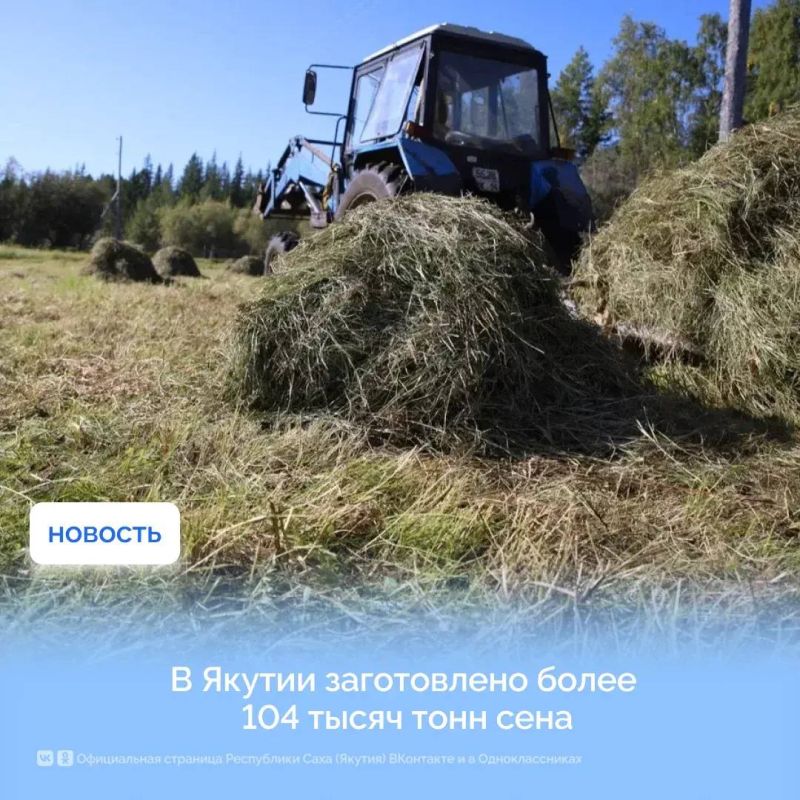 В Якутии заготовлено более 104 тыс
