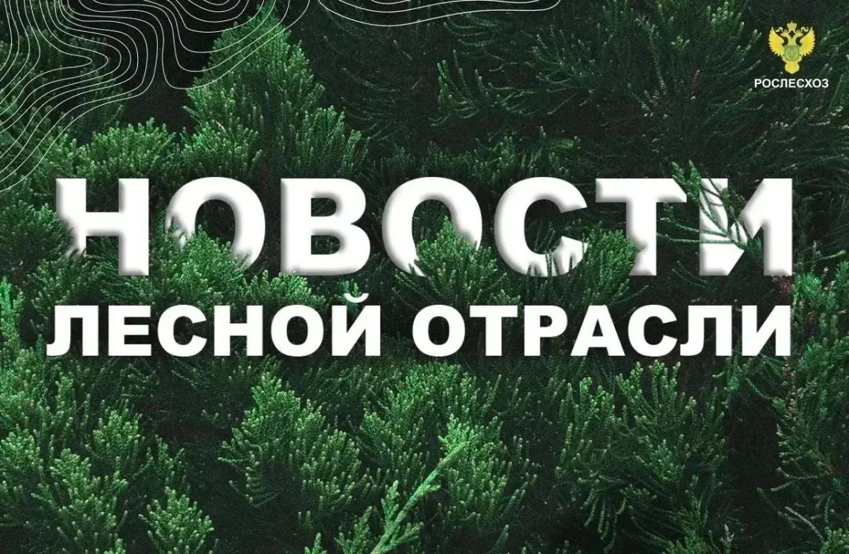 ГТРК «Вайнах»: Глава Рослесхоза посетил Чечню и оценил развитие лесного хозяйства региона