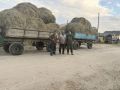 #СВОихнебросаем. В селе Мурья Ленского района семьи участников СВО приходят на выручку друг другу Виталий Иванович Федоров и Владимир Ильич Воробьёв организовали заготовку сена для семей Даниловых и Сергеевых — каждой семье...