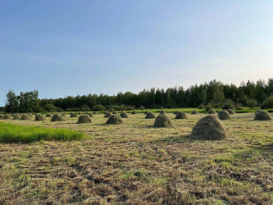В Якутии заготовлено более 104 тысяч тонн сена