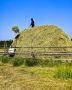 Бл улууугар от былаанын 39% толорон иэллэр