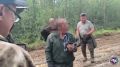 ВИДЕО: Потерявшийся в лесу мужчина после своего обнаружения рассказал, как встретил медведей