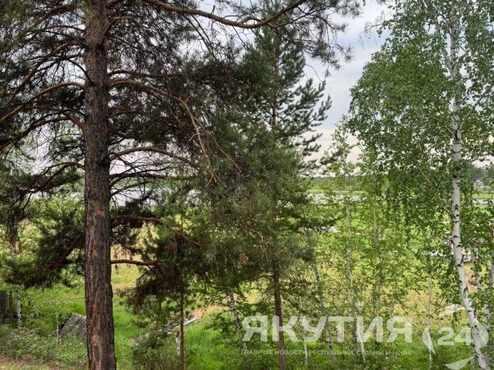 Дожди, грозы и ветер до 20 м/с прогнозируют в Якутии