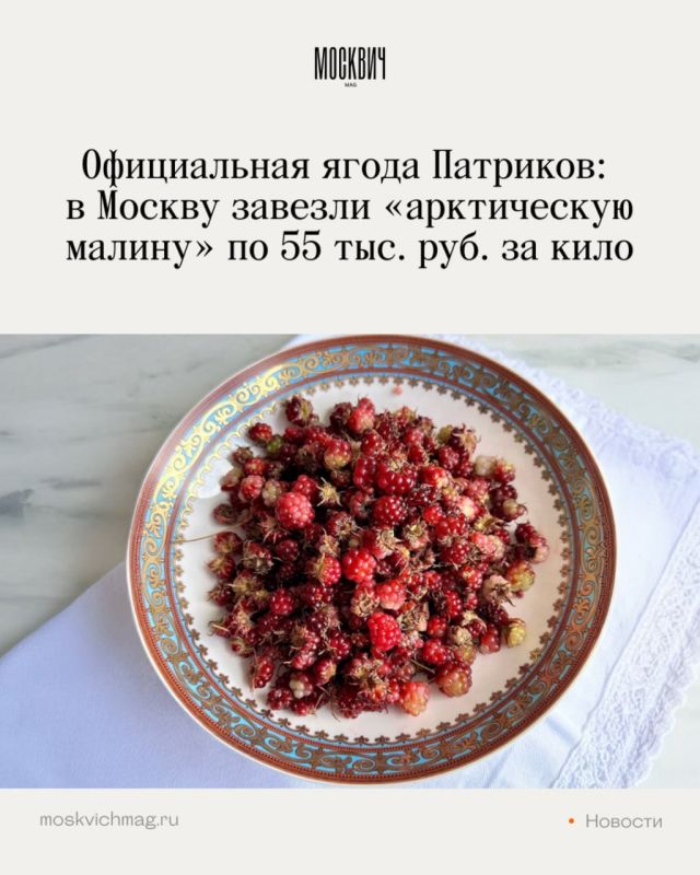 В Якутии растет почти повсеместно, в Москве — 55 тысяч за килограмм