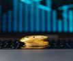 В России принят закон о регулировании криптовалют