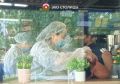 Фотофакт: в киоске Doner 14 работает Роспотребнадзор