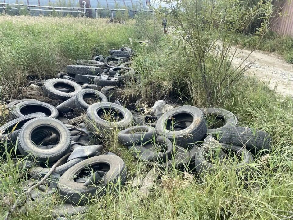 Минэкологии Якутии выявило незаконные свалки в Пригородном и Хатассах Минэкологии Якутии выявило незаконные свалки в Пригородном и Хатассах