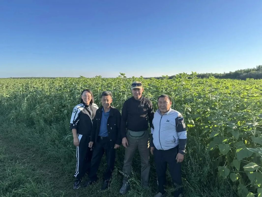 «Кормоцентр» в Нюрбинском улусе: качественные корма — основа высокой продуктивности «Кормоцентр» в Нюрбинском улусе: качественные корма — основа высокой продуктивности