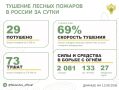 За прошедшие сутки в 12 регионах России потушили 29 лесных пожаров
