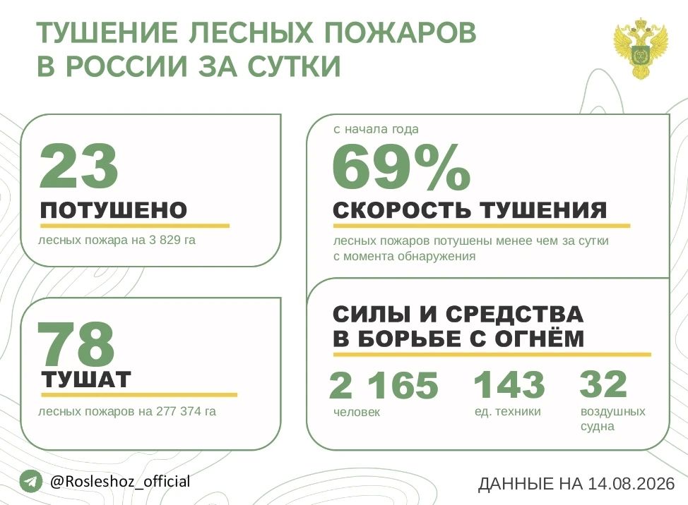 За прошедшие сутки в 12 регионах России потушили 23 лесных пожара