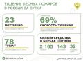 За прошедшие сутки в 12 регионах России потушили 23 лесных пожара
