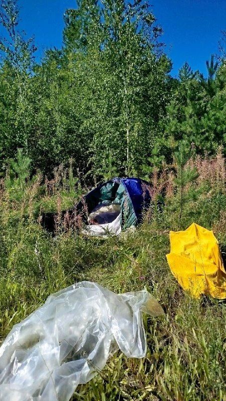Турист переночевал в палатке в парке Якутска Турист переночевал в палатке в парке Якутска