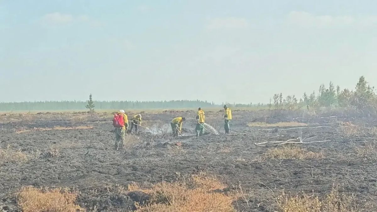 В Оленекском районе ликвидировали лесной пожар у села Эйик В Оленекском районе ликвидировали лесной пожар у села Эйик