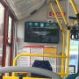 #пишут. В "Волгобасах" есть телевизоры, по которому весь маршрут крутят коммерческую рекламу ломбарда и цирка