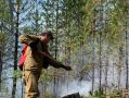 За прошедшие сутки в Якутии ликвидировали три лесных пожара