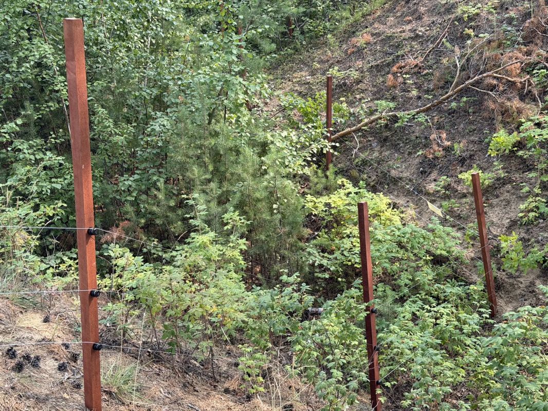 В национальном парке “Ленские столбы” этим летом установили защитную систему “электропастух” В национальном парке “Ленские столбы” этим летом установили защитную систему “электропастух”