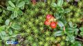 Прогноз погоды в Якутске на 16 августа