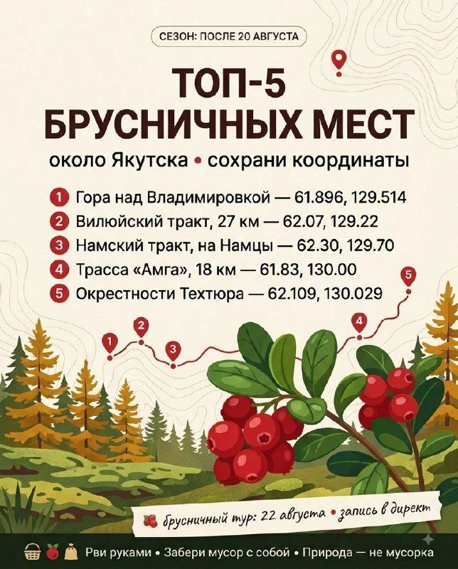 Брусничные места под Якутском