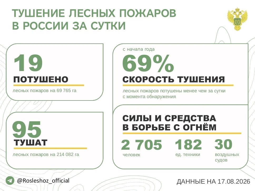 За прошедшие сутки в 12 регионах России потушили 19 лесных пожаров