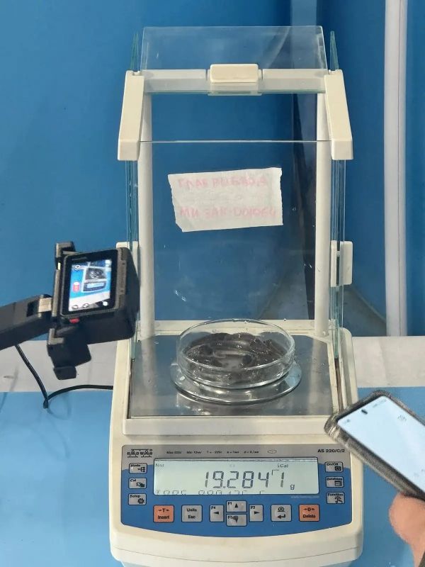 Свыше 240 тысяч мальков осетра выпустили в бассейн Лены Свыше 240 тысяч мальков осетра выпустили в бассейн Лены