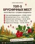 Брусничные места под Якутском