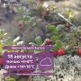 От -5° на северо-востоке до +21° на юго-западе: о погоде в Якутии на 18 августа