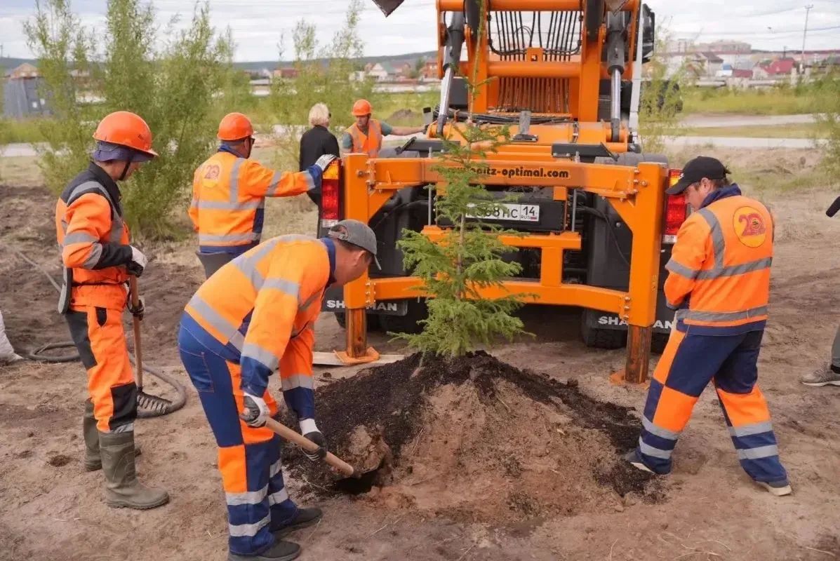 В Парке Победы в Якутске началась основная высадка крупномеров